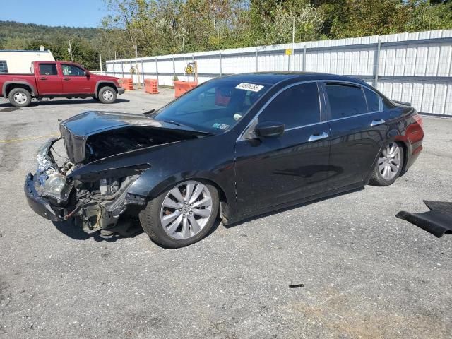 2011 Honda Accord EXL
