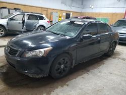 Honda Accord salvage cars for sale: 2008 Honda Accord EXL