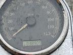 2007 Harley-Davidson Flstc