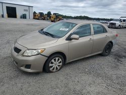 Toyota Corolla salvage cars for sale: 2010 Toyota Corolla Base