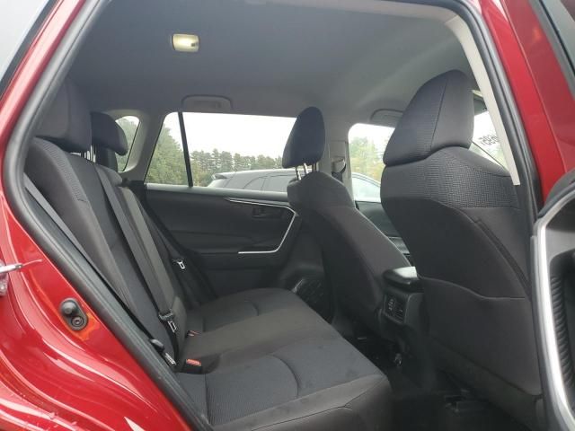 2025 Toyota Rav4 le