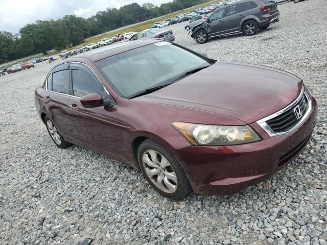 2010 Honda Accord EXL