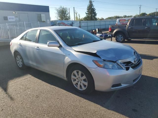 2009 Toyota Camry Hybrid