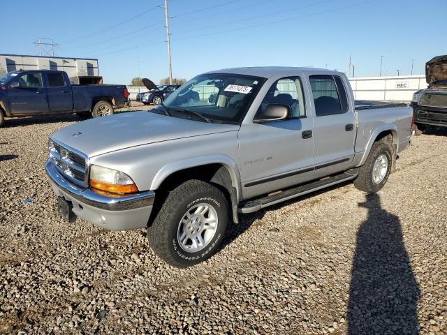 2002 Dodge Dakota Quad SLT