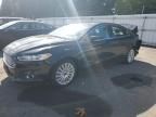 2016 Ford Fusion SE Hybrid