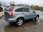 2010 Honda Cr-v exl