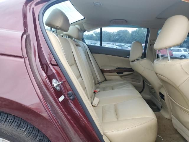 2010 Honda Accord EXL