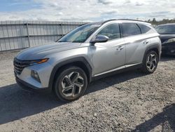 2022 Hyundai Tucson Limited for sale in Fredericksburg, VA