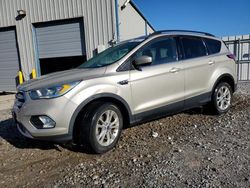 Ford salvage cars for sale: 2017 Ford Escape SE