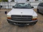 2002 Dodge Dakota Base