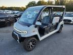 2026 Unknown 2026 Tillery LSV Golf Cart