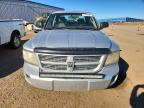 2008 Dodge Dakota SXT