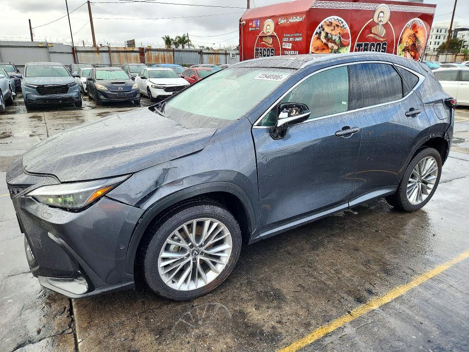 2025 Lexus NX 350H Luxury