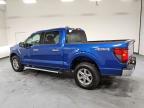 2025 Ford F150 XLT