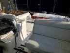 2004 Unknown 2004 Raptor Boat