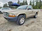 2004 Dodge Dakota SXT