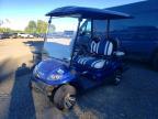 2019 Icon Ev Golf Cart