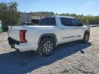 2025 Toyota Tundra 1794 Edition
