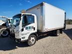 2024 Isuzu NPR HD