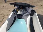 2024 Sea Doo YDV