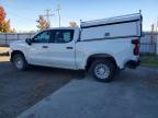 2024 Chevrolet Silverado K1500