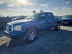 2005 Dodge Dakota Quad SLT
