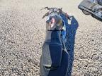 2000 Honda CBR600 F4