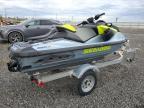 2024 Sea Doo RXP-X 325