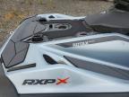 2024 Sea Doo RXP-X 325