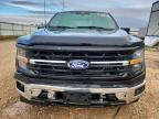 2025 Ford F150 XLT