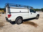 2010 Ford F100