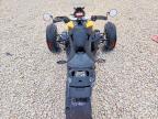 2022 Can-Am Ryker Rally Edition