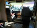1999 Ford 1999  Suncruiser-RV