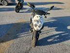 2019 Genuine Scooter Co. Roughhouse 50