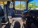 1999 International 3000 3800