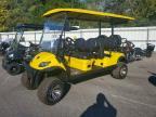 2024 Icon Ev Golf Cart