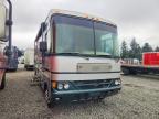 2003 Workhorse Custom Chassis 2003 Workhorse Trek RV