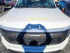 2023 Ford F150 Lightning PRO