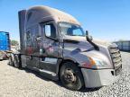 2020 Freightliner Cascadia 126