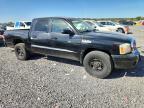 2006 Dodge Dakota Quattro
