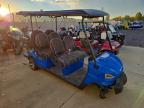 2023 Vivid Golf Cart