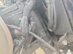 2023 Royal Enfield Motors Classic 350