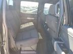 2025 Ford F150 XLT