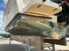2023 Scout 210 Dorado
