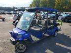 2017 Unknown 2017 Golf Cart