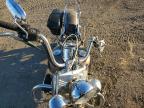 2004 Harley-Davidson Flstci