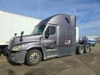 2014 Freightliner Cascadia 125