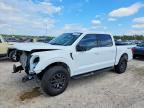 2025 Ford F150 Tremor