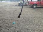 2024 Caliber GHH840MST Equipment Trailer
