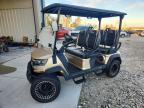 2025 Unknown 2025 Epic Golf Cart